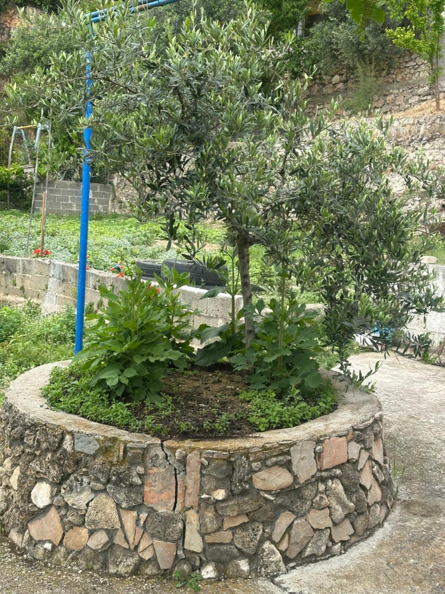 Romeo'S Guest House 2 Piqeras Exterior foto